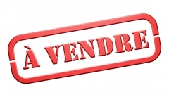 A vendre.jpg