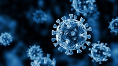 coronavirus-virus-covid-19-microscope-illustration-5f5632-0@1x.jpeg