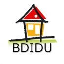 Bdidulogo.jpg